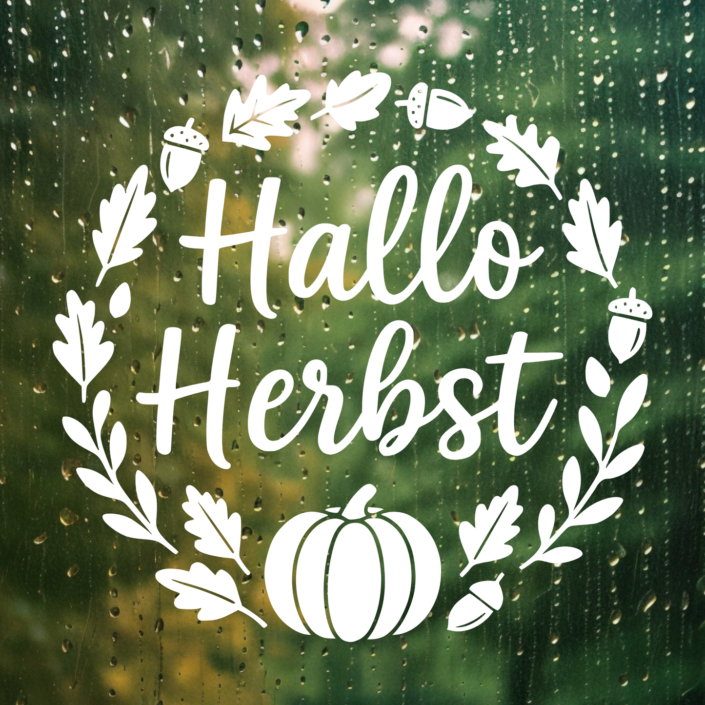 Fensterbild Herbstkranz Aufkleber Hallo Herbst mit Kürbis und Eicheln