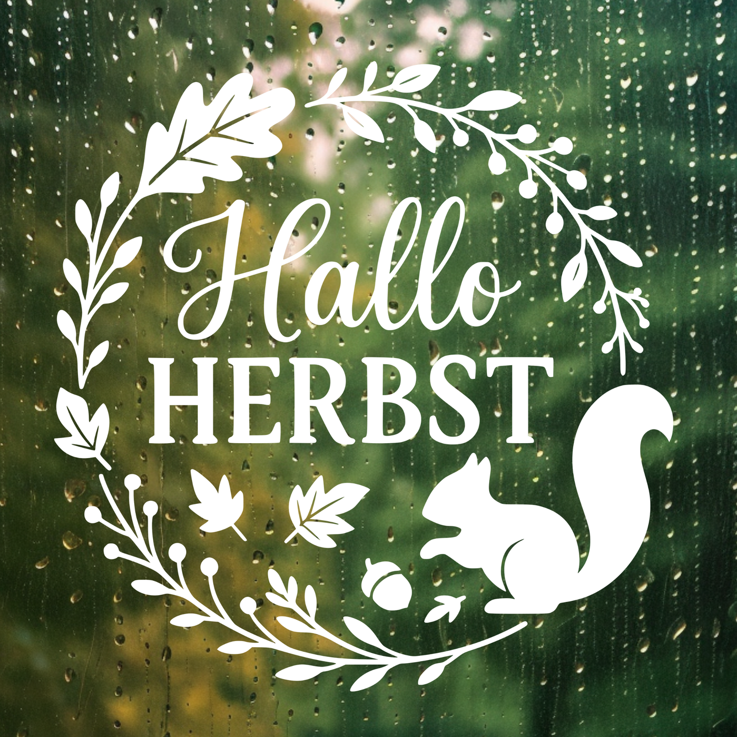 Fensterbild Herbstkranz herbstlicher Aufkleber Vinylaufkleber Hallo Herbst Eichhörnchen