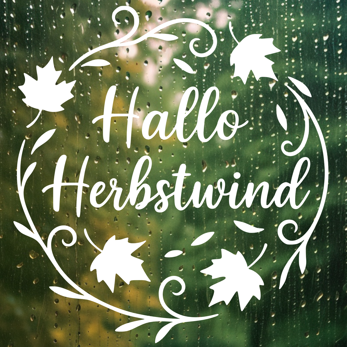 Fensterbild Herbstkranz Hallo Herbst Vinylaufkleber Herbstwind