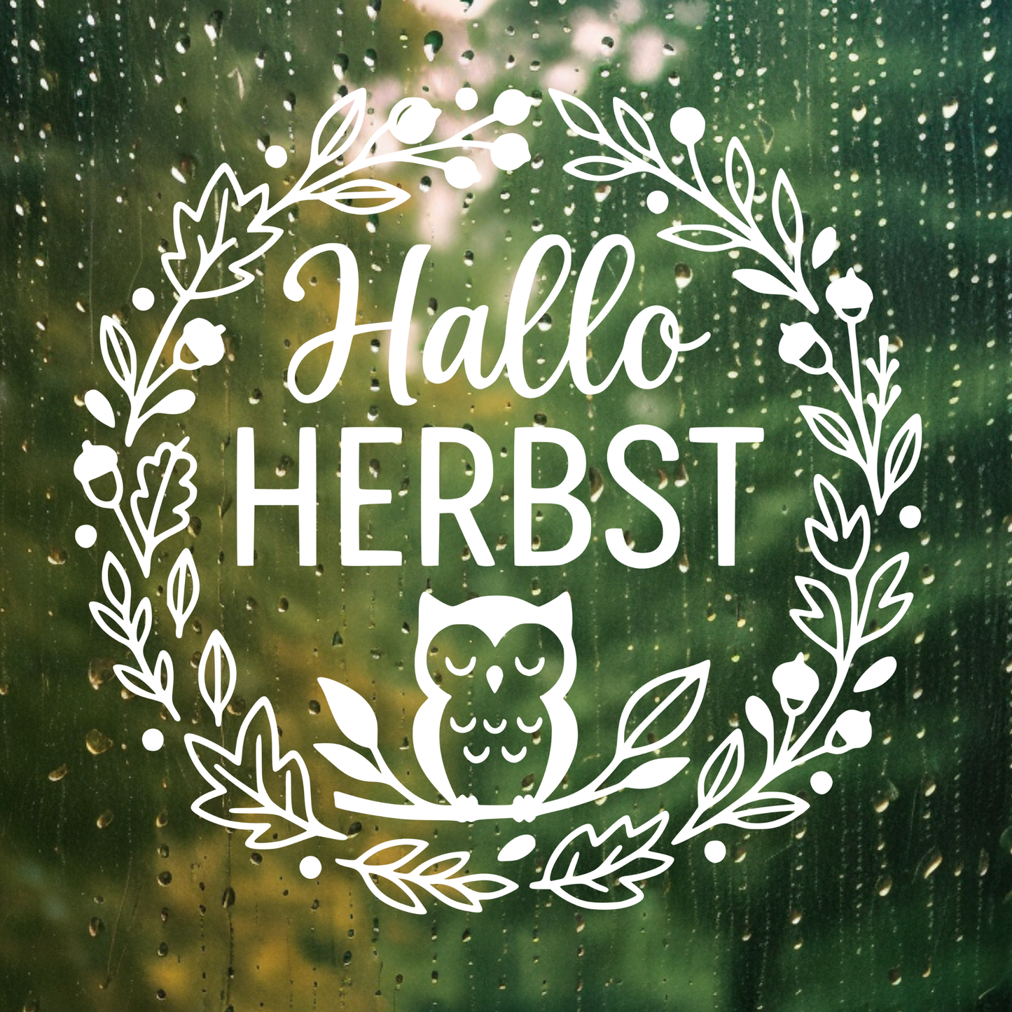 Fensterbild Herbstkranz herbstlicher Aufkleber Vinylaufkleber Hallo Herbst Eule 2