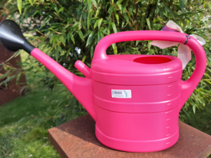 Gießkanne Pink Rente Abschiedsgeschenk Rentnerin ,Geschenk zum Renteneintritt von den Kollegen zum Ruhestand